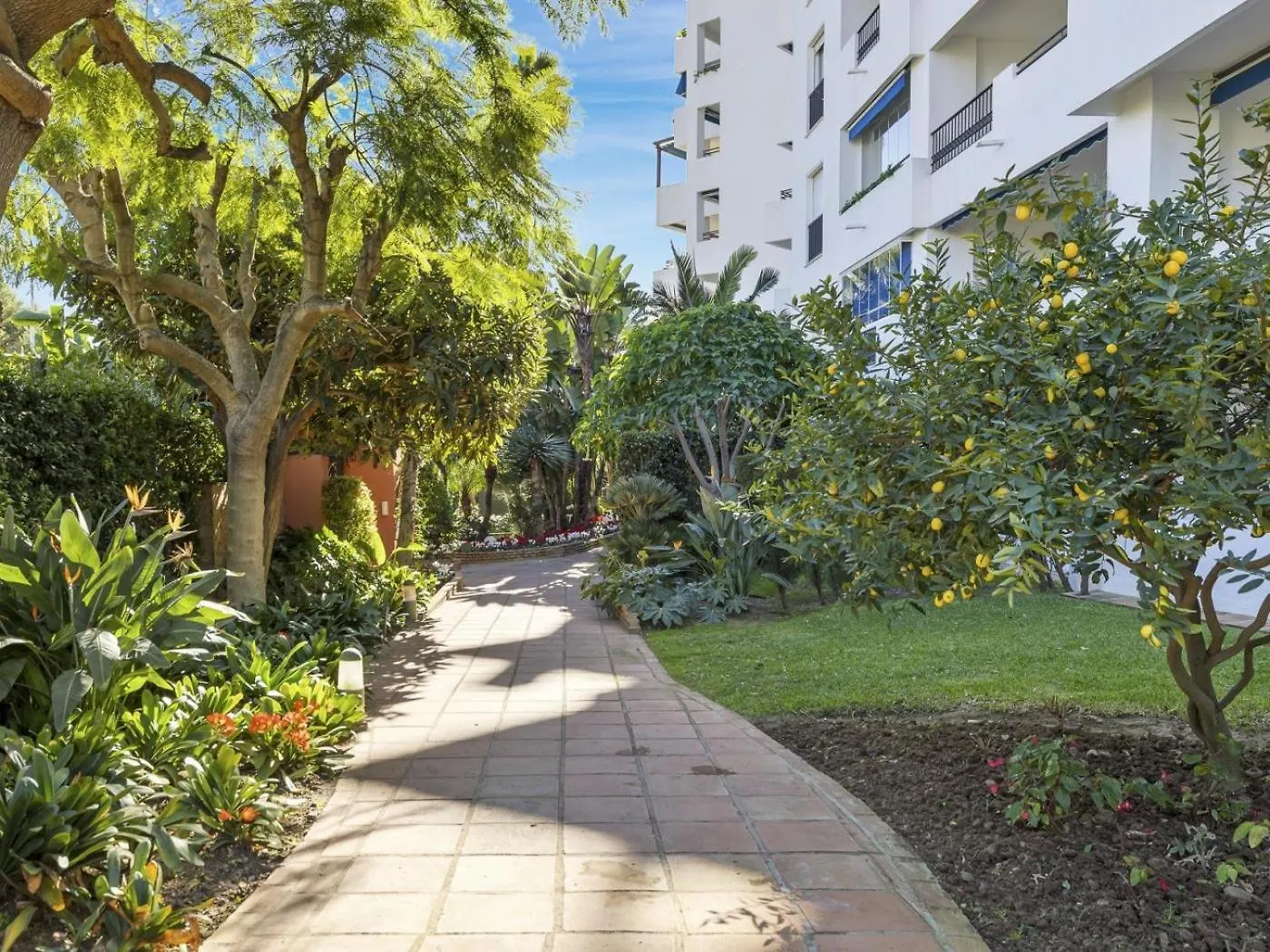 Estudio Medina Garden 232 Marbella Španělsko